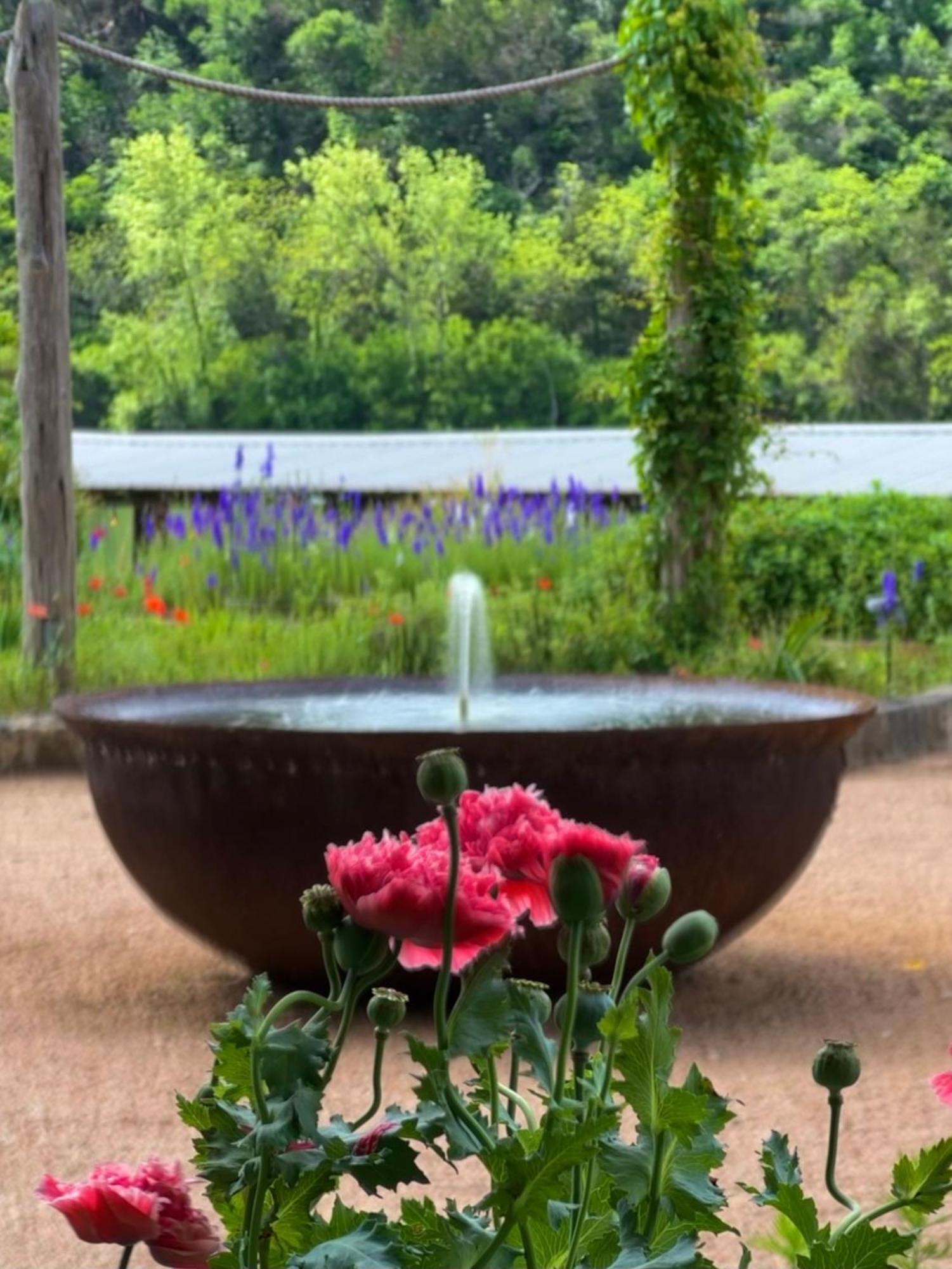 Lake Austin Spa Resort 外观 照片